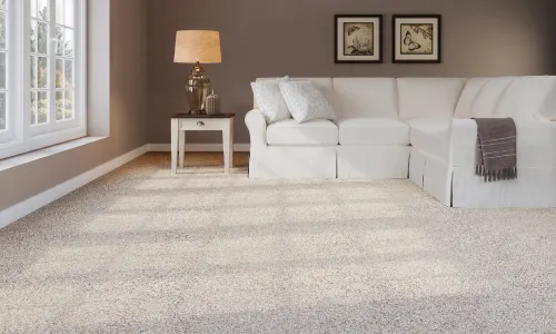 Bright and airy carpeted livingroom; orange price tag icon