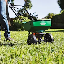 Lawn Seeding Services