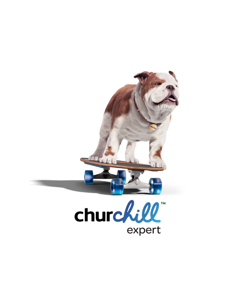 Churchill Expert - Card Image