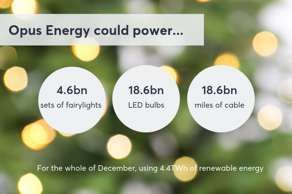 How many lights can an energy supplier power this Christmas?