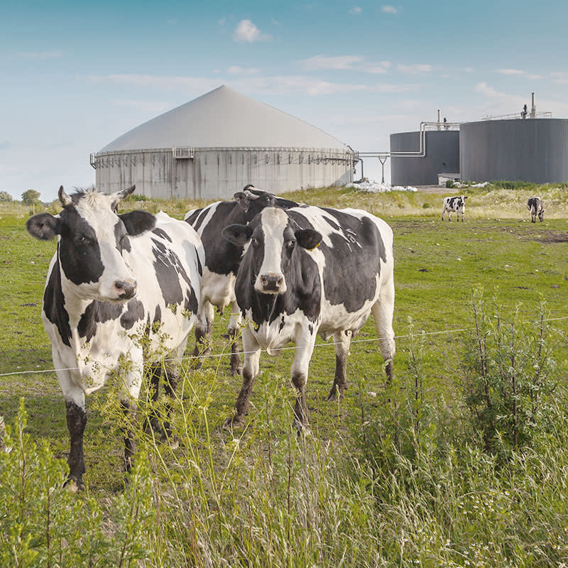 Anaerobic Digestion