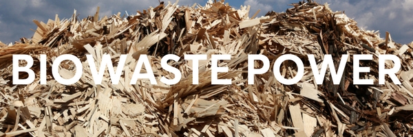 Biomass and biowaste - renewable energy sources