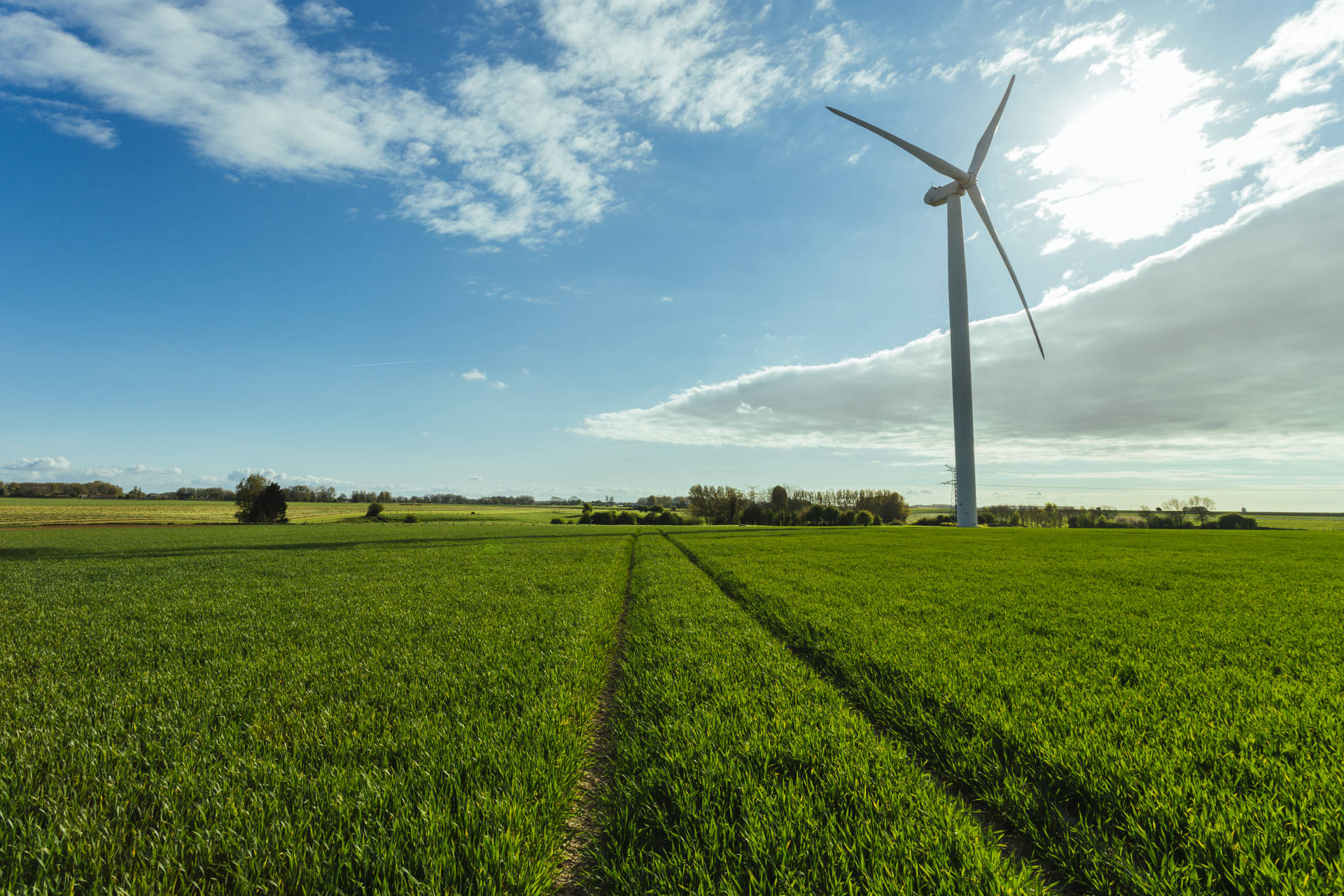 UK reaches a new coal-free record amidst Coronavirus lockdown - Hero