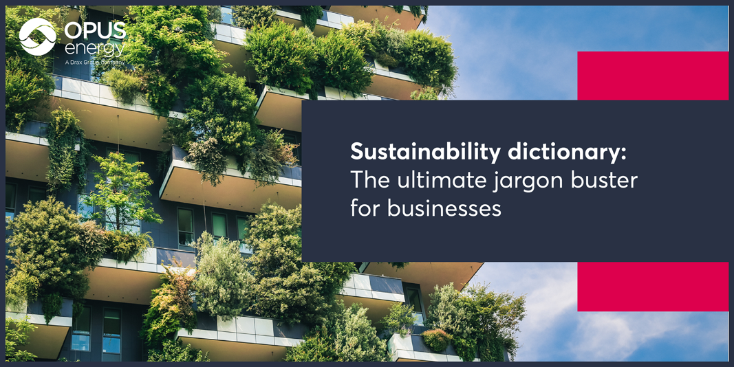 Sustainability dictionary The ultimate jargon buster Opus Energy