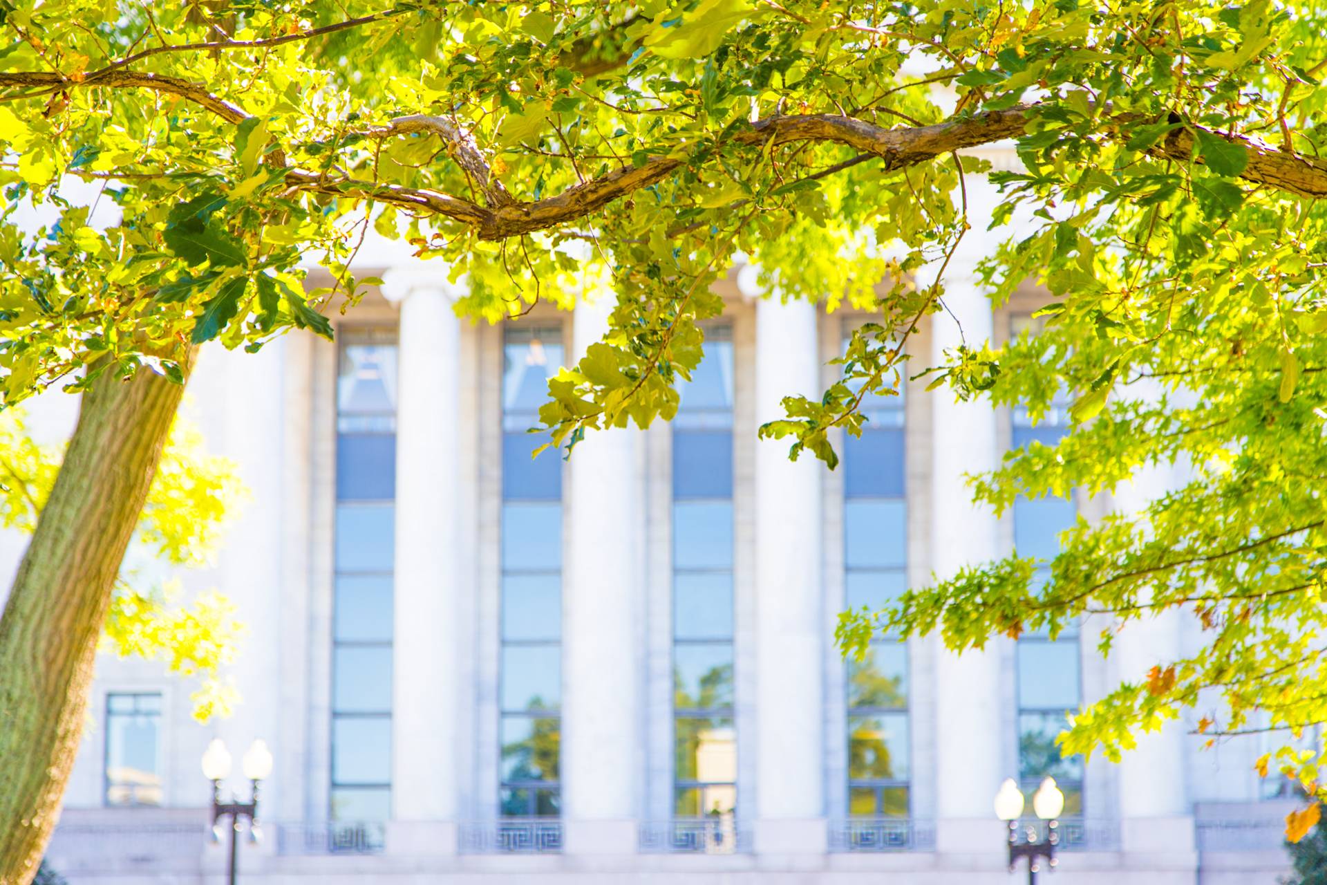 Why a recession won’t stop you from being sustainable | Opus Energy