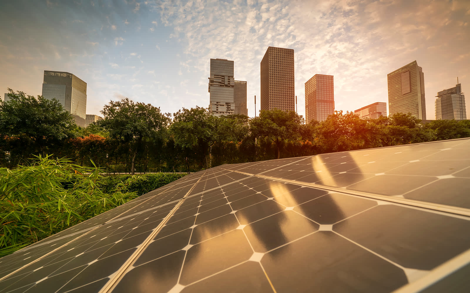 Why your business should consider generating its own renewable electricity - Hero Image