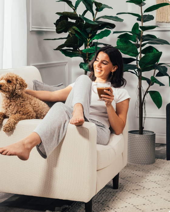 Cozey | Stylish Seating Options Cozey | Stylish Seating Options