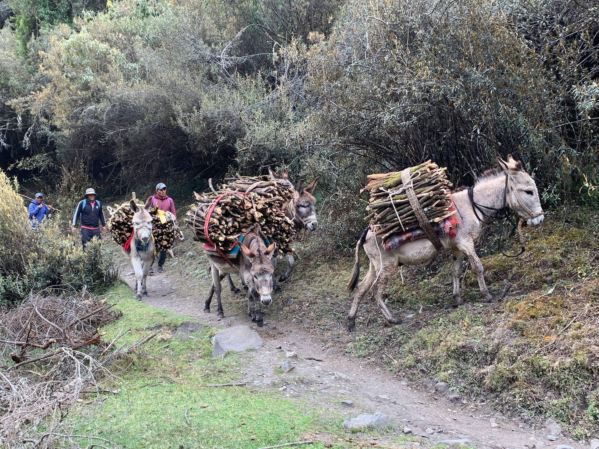 Four Day S Trekking The Cordillera Blanca Peru Travel Story   Cordillera Blanca 006 