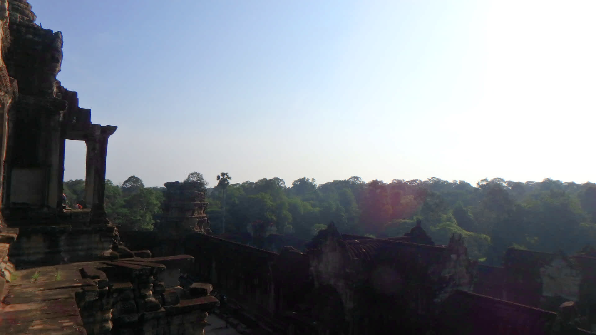 Jungle surrounding the temple of Angkor Wat.