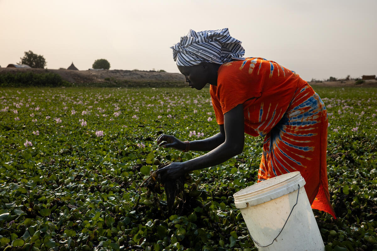 South Sudan 2