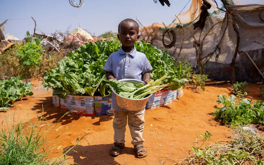 Somalia: Unterstütze hungernde und vertriebene Familien
