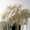 MasterpiecesNoFilter Anthogether wedding LR-21 @milles fleurs (9)