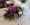 always tag @milles fleurs (60)