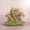 DPK Masterpieces Offer Frederic Dupre FM Group LR-1