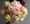 always tag @milles fleurs (15)