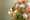 Creatie Masterpieces Offer Stephane Chantaloube FM Group LR-70