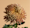 composition-chrysanthème-toussaint