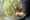 Creatie Masterpieces Offer Stephane Chantaloube FM Group LR-24