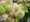 IMG-20260417-WA0023