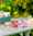 Zentoo_DIY