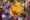 1126106-489190 preview maxWidth 640 maxHeight 640 ppi 72 quality 100