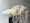 MasterpiecesNoFilter Anthogether wedding LR-21 @milles fleurs (1)