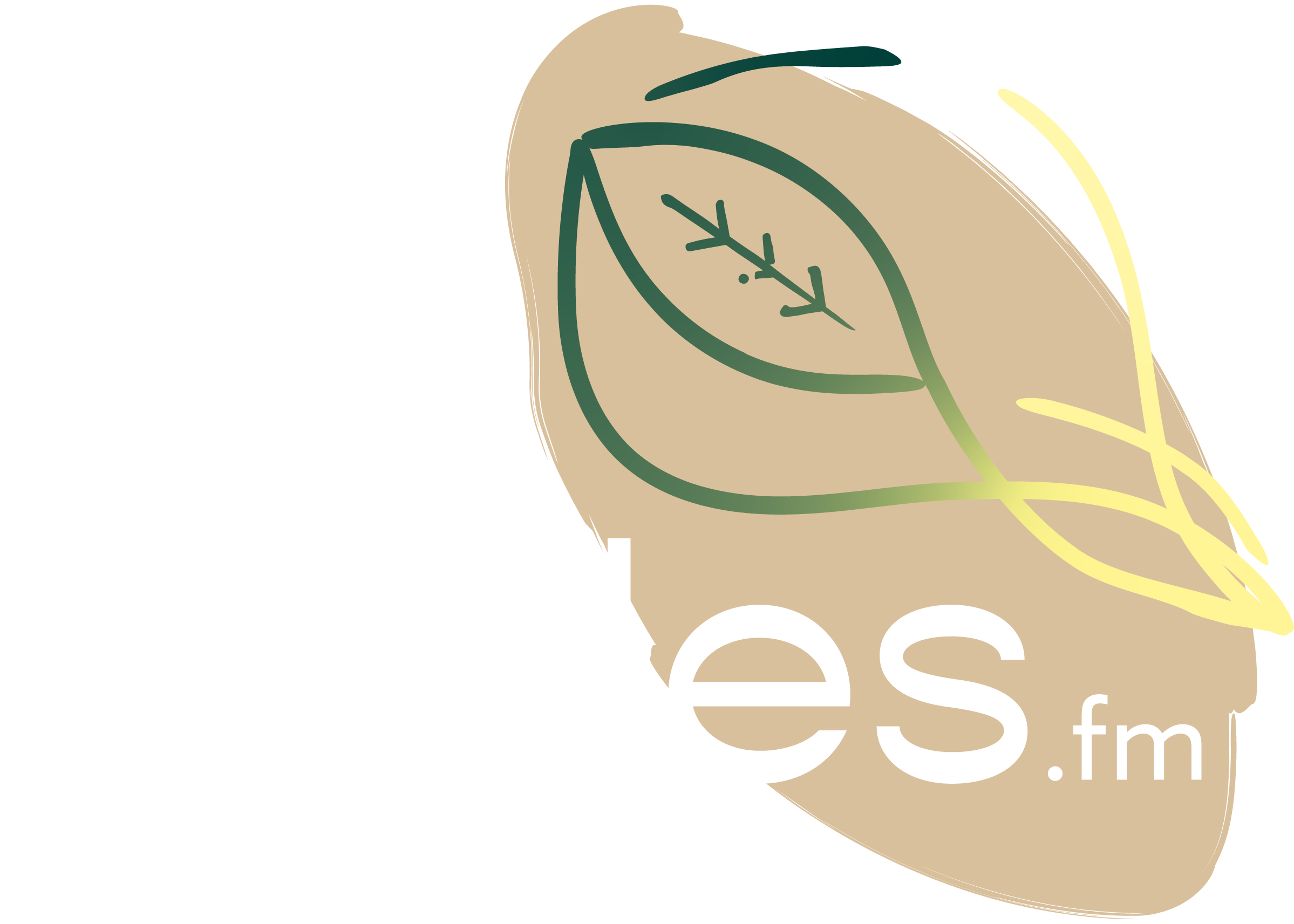 circles.fm - logo white