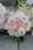 david austin florametz milles fleurs new roses-81