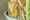 Creatie Masterpieces Offer Stephane Chantaloube FM Group LR-64