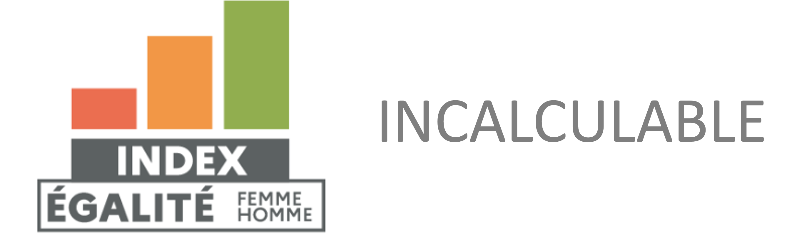 Index egalite femmes hommes chez Fleurametz France 2023