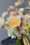 david austin florametz milles fleurs new roses masterpieces (135)