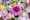 1126106-489192 preview maxWidth 640 maxHeight 640 ppi 72 quality 100