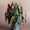 Planten Bloomscape LR-14