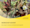 Annotation 2025-01-16 145538