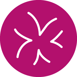holip website homepage icon fm group