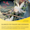 Annotation 2025-01-15 153412