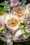 Masterpieces no filter DAR Richelle Vervoorn LR-8