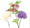 Event floristry