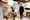 Bloomshare 2024 Betula LR-3