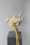 david austin florametz milles fleurs new roses masterpieces (131)