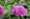 IMG 7857