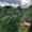 image00047