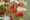Creatie Masterpieces Offer Stephane Chantaloube FM Group LR-96