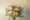 Creatie Masterpieces Offer Stephane Chantaloube FM Group LR-3