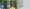 greentail website 1