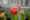 DSCF0967