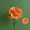 A bicolor orange and yellow Dianthus caryophyllus, commonly known as a carnation.