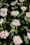 DSCF6572