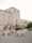 mixed-davidaustin-cutroses-20211115-007