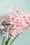 Nerine light pink LR-15